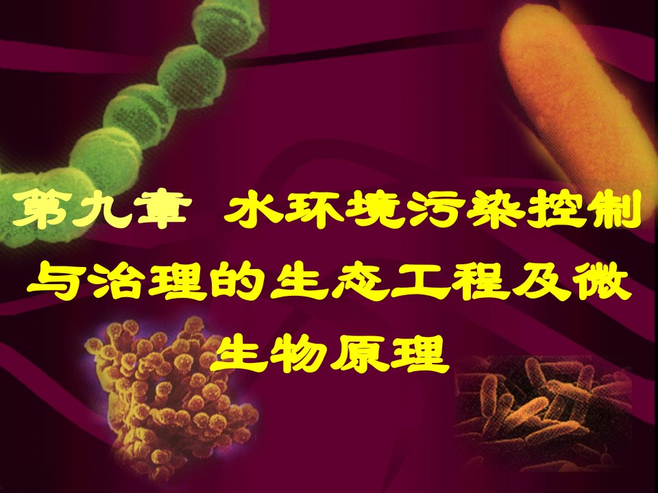 水环境污染控制与治理的生态工程及微生物原理