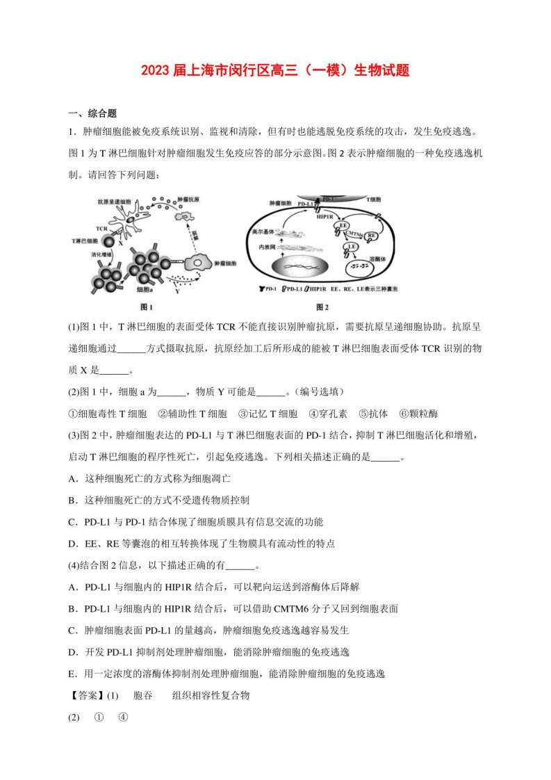 2023届上海市闵行区高三（一模）生物试卷及答案