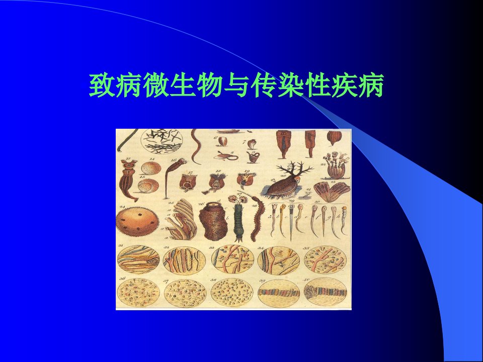 3.致病微生物与传染性疾病