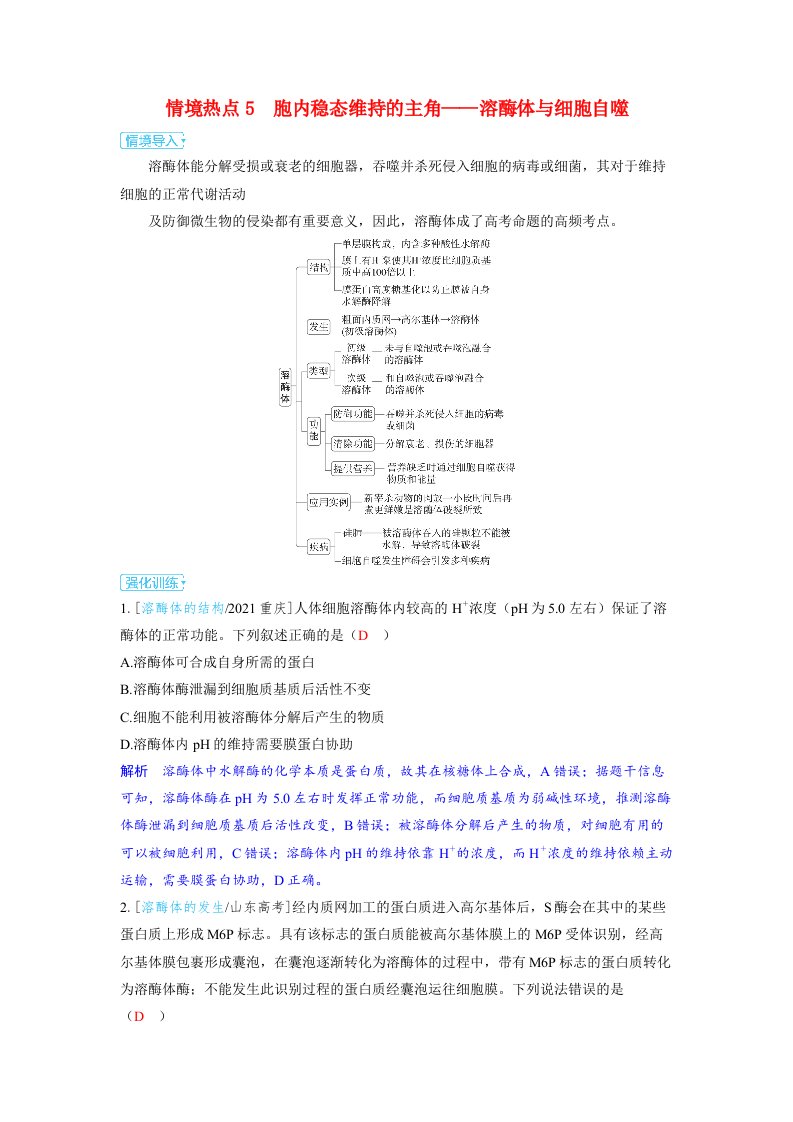 备考2024届高考生物一轮复习讲义第四章细胞的生命历程课时3细胞的分化衰老和死亡情境热点5　胞内稳态维持的主角__溶酶体与细胞自噬