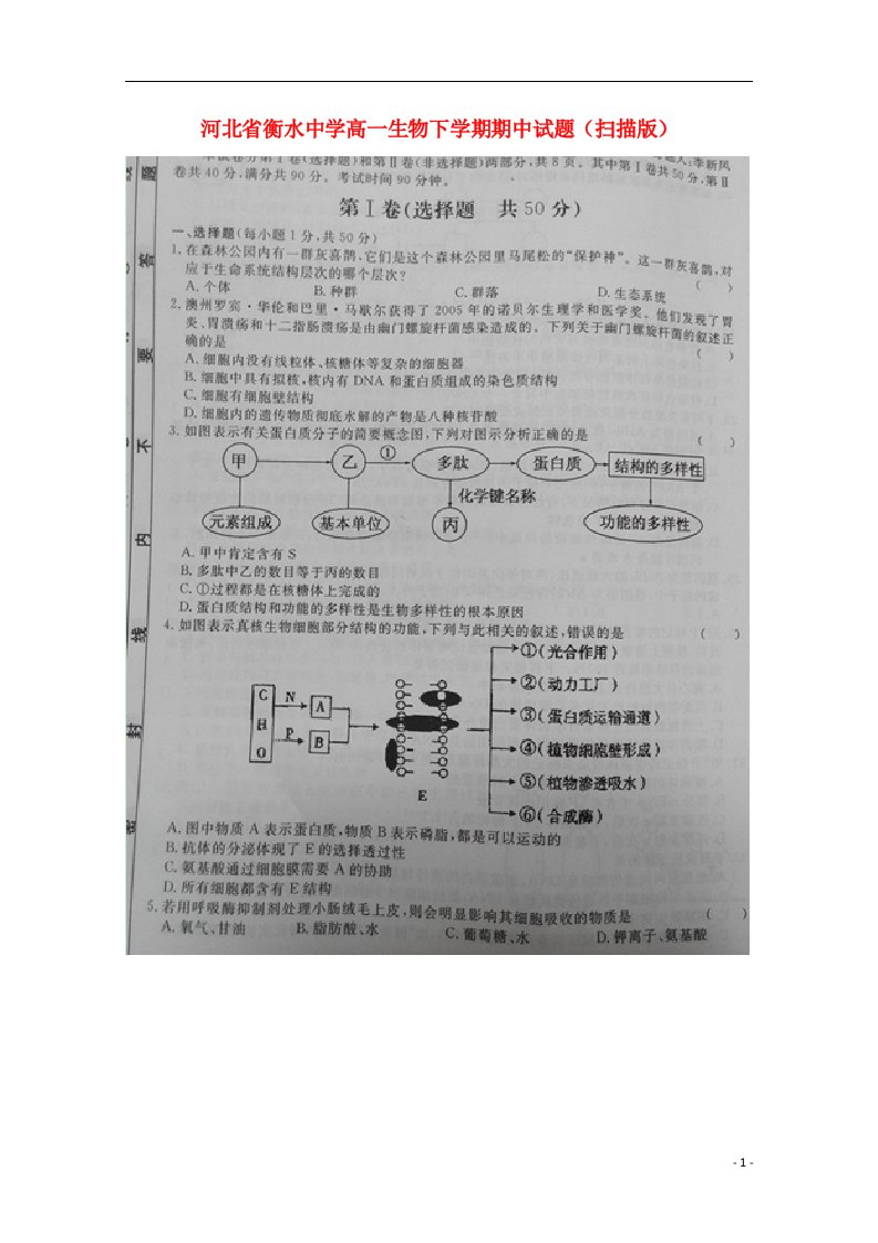 河北省衡水中学高一生物下学期期中试题（扫描版）