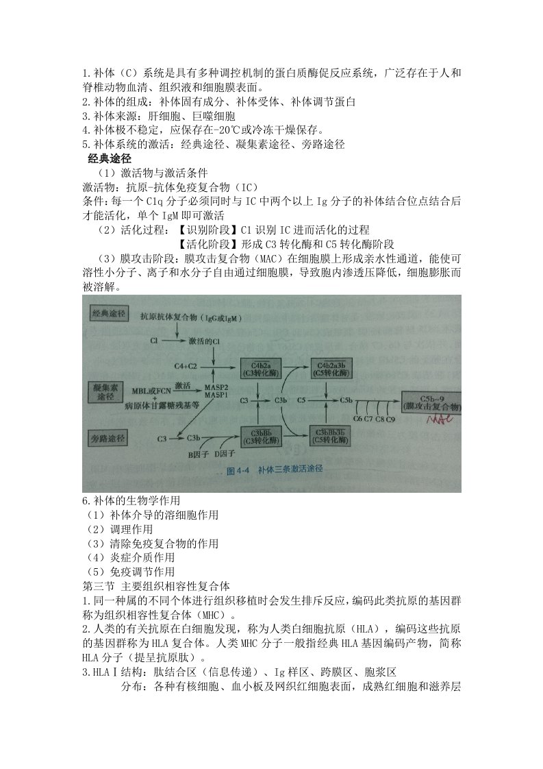 免疫学基础与病原生物学重点总结