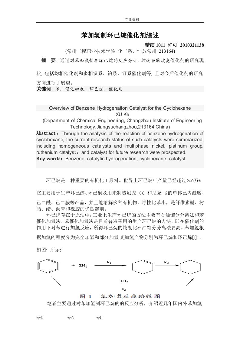 催化剂论文_苯加氢制环己烷催化剂综述