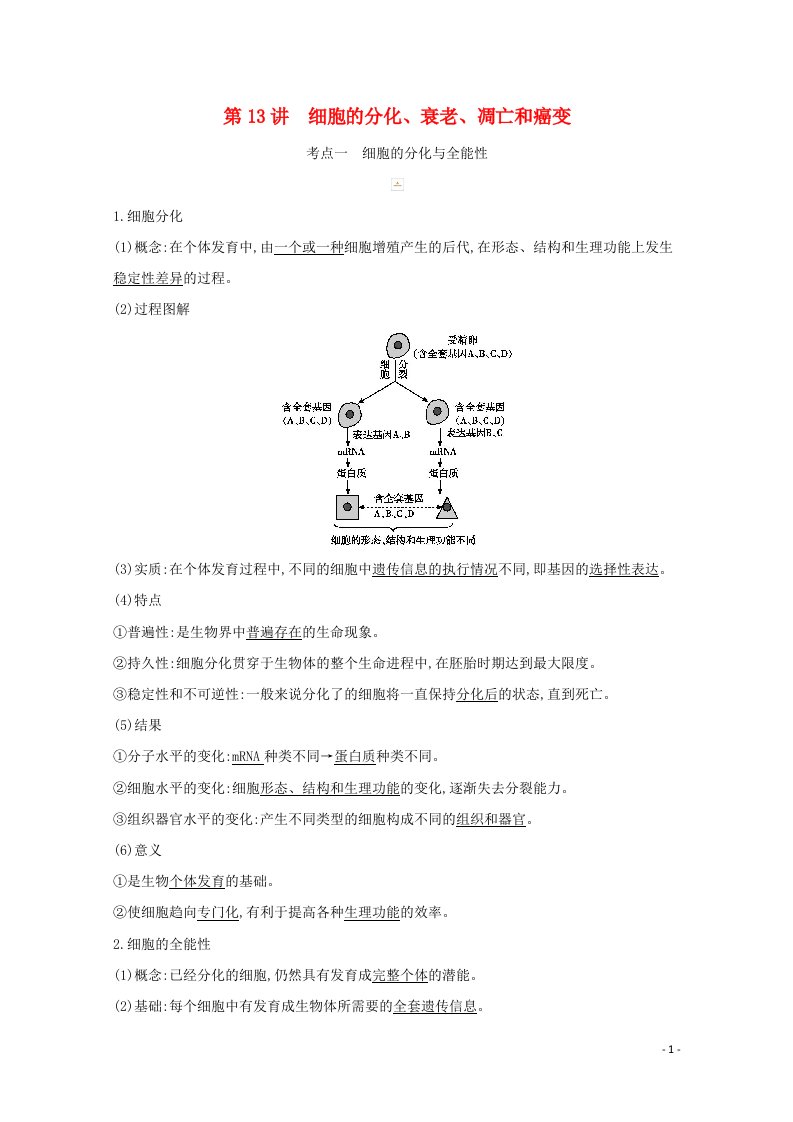 2021高考生物一轮复习第四单元细胞的生命历程第13讲细胞的分化衰老凋亡和癌变教案新人教版