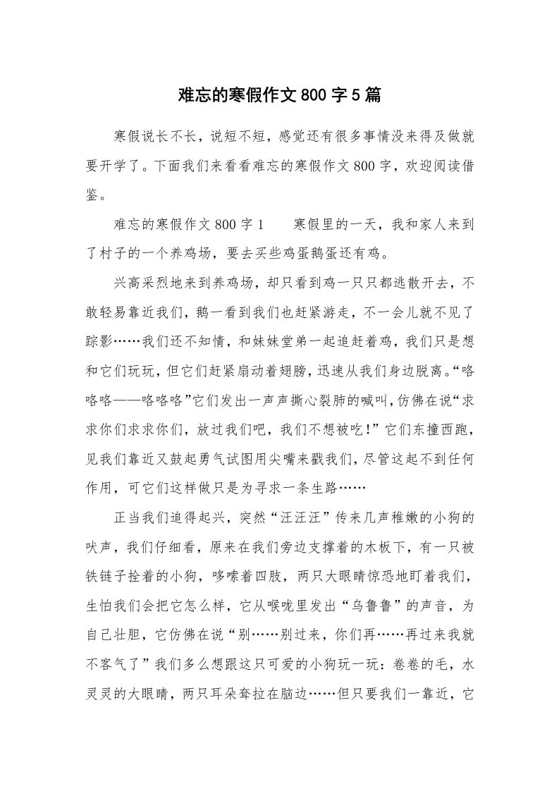 难忘的寒假作文800字5篇