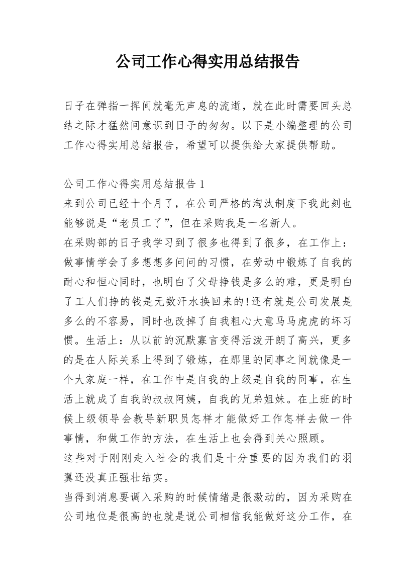 公司工作心得实用总结报告