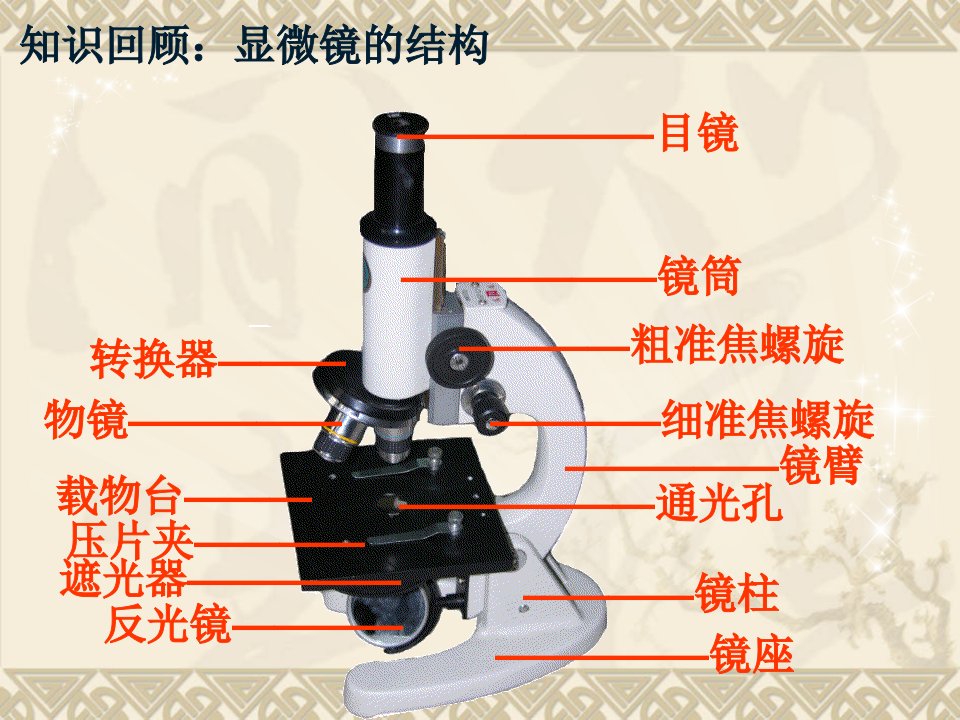 人教版初中生物七年级上册第二单元第一章第二节植物细胞ppt课件