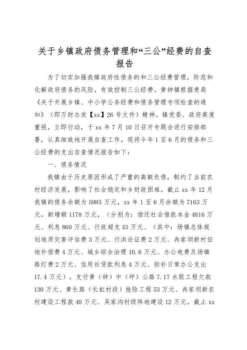 2022关于乡镇政府债务管理和“三公”经费的自查报告