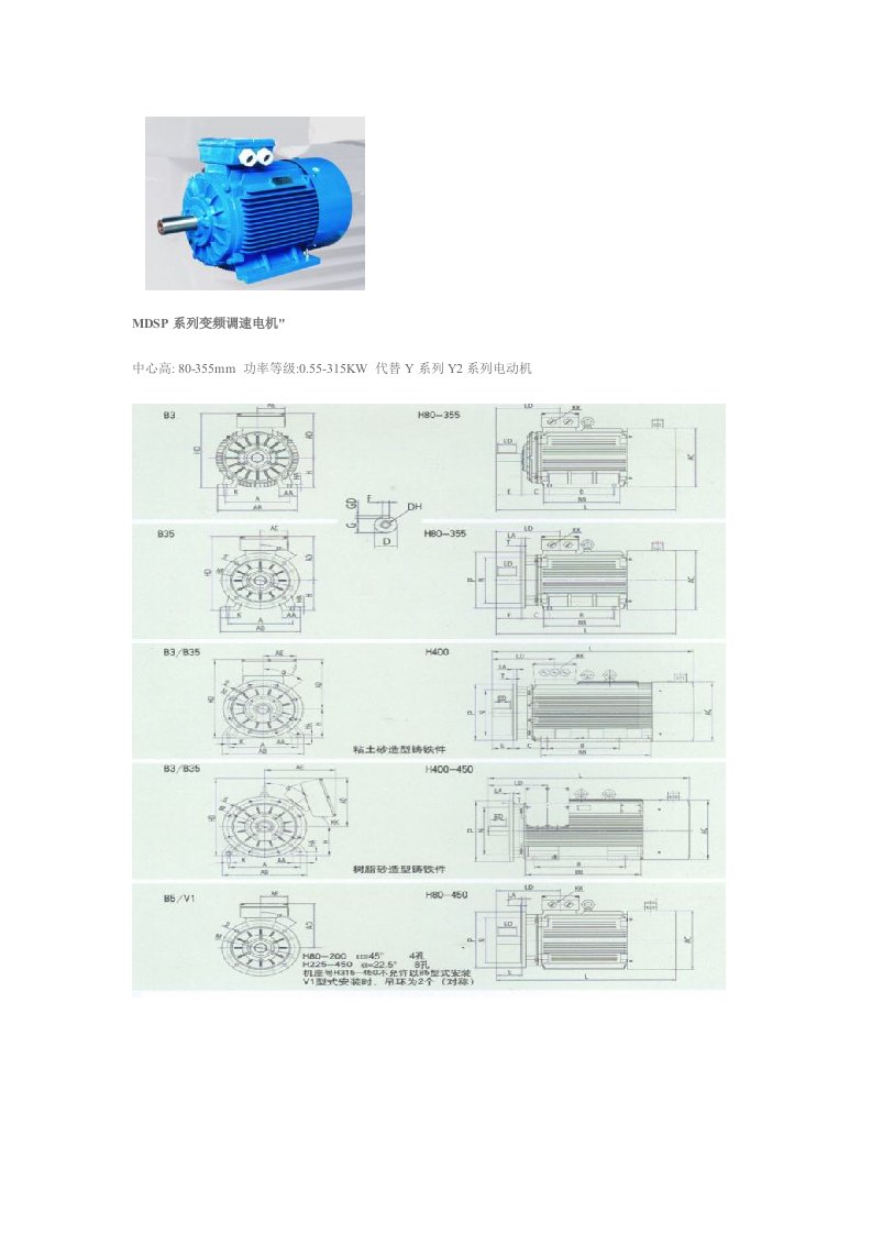 MDSP系列变频调速电机