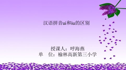 课件：复韵母ui和iu的区别