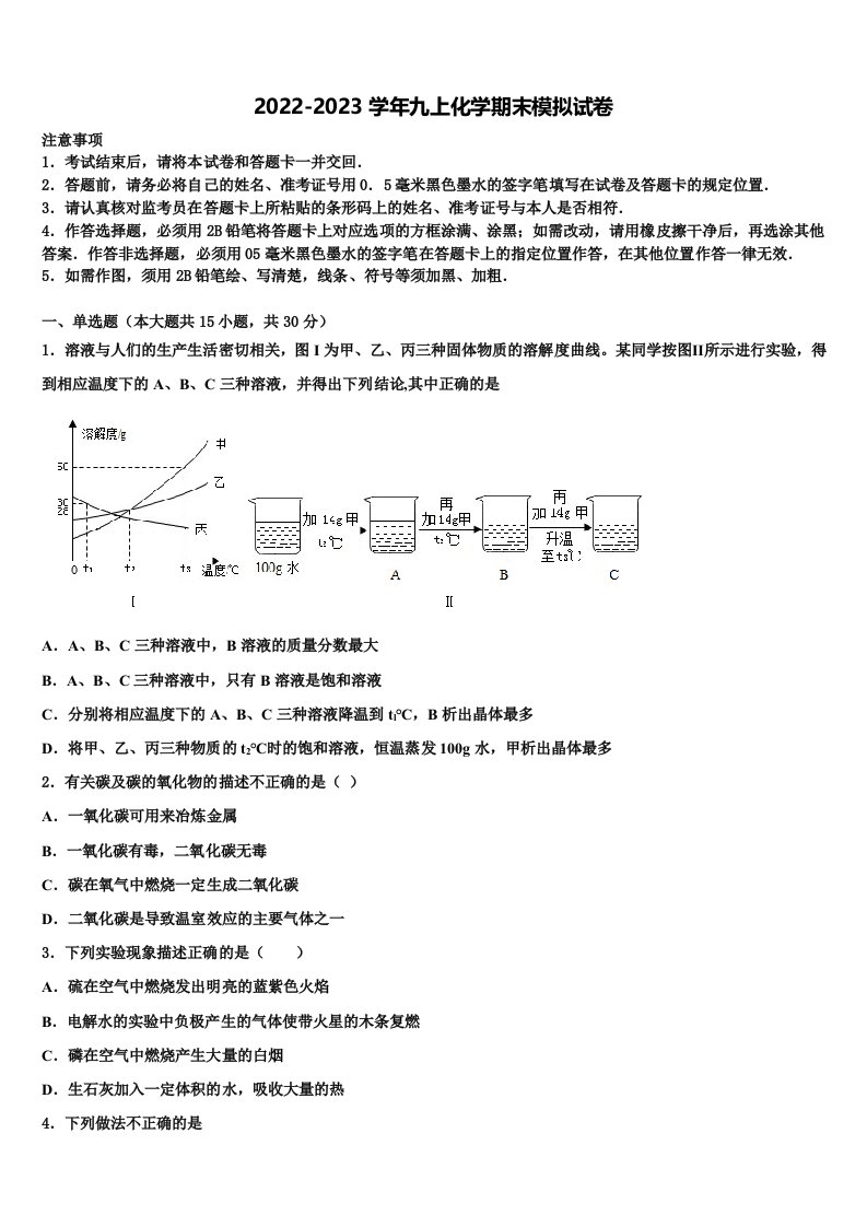 2023届广东省惠阳市马安中学九年级化学第一学期期末考试模拟试题含解析