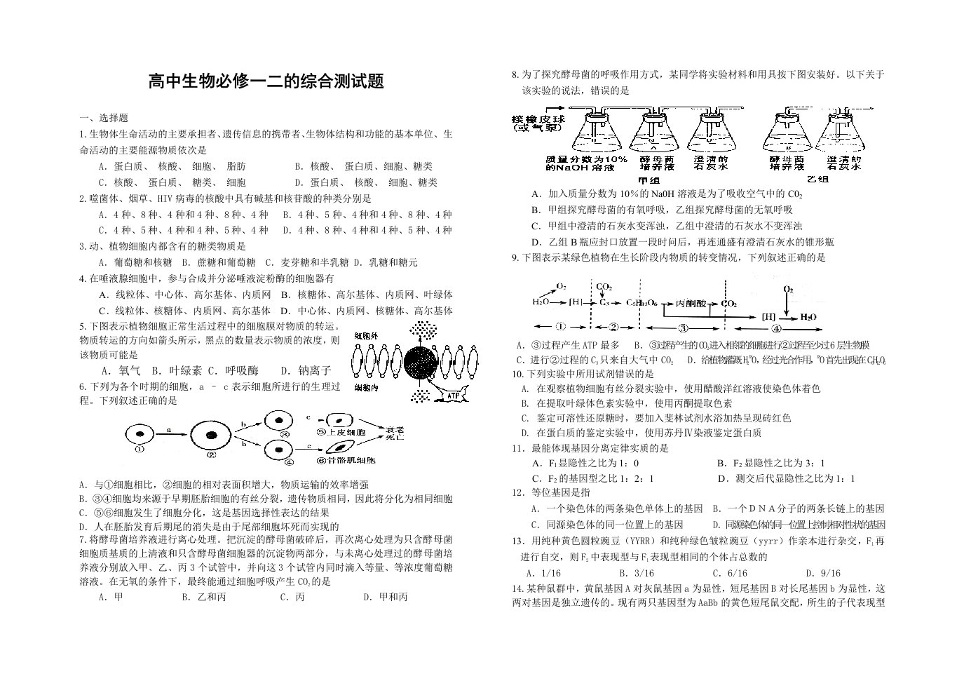 高一生物期末复习综合试题