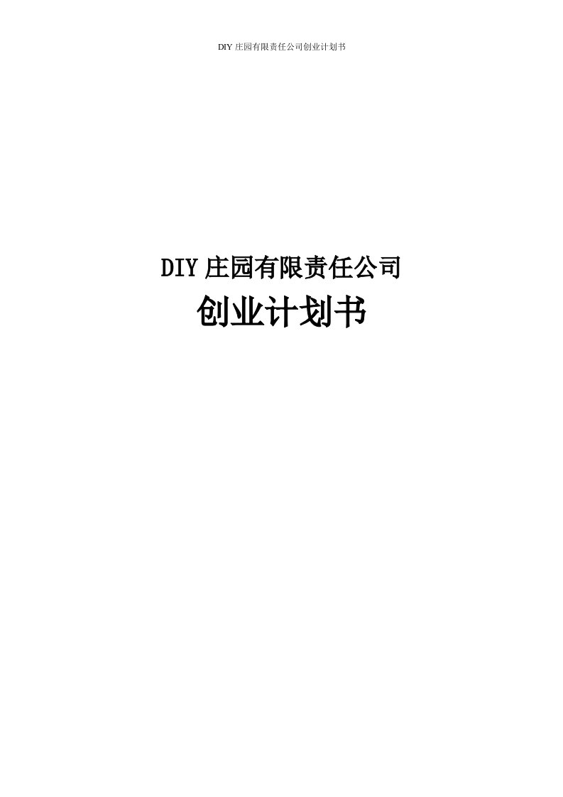 DIY庄园有限责任公司创业计划书