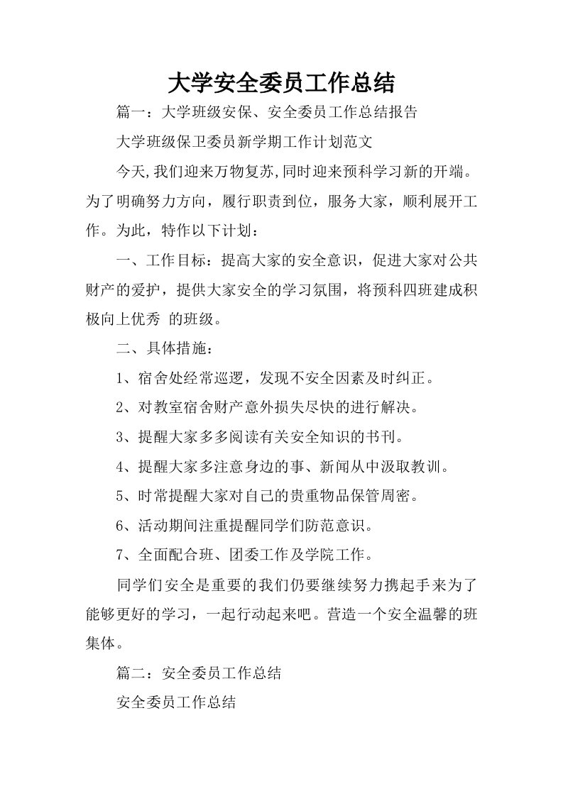 大学安全委员工作总结