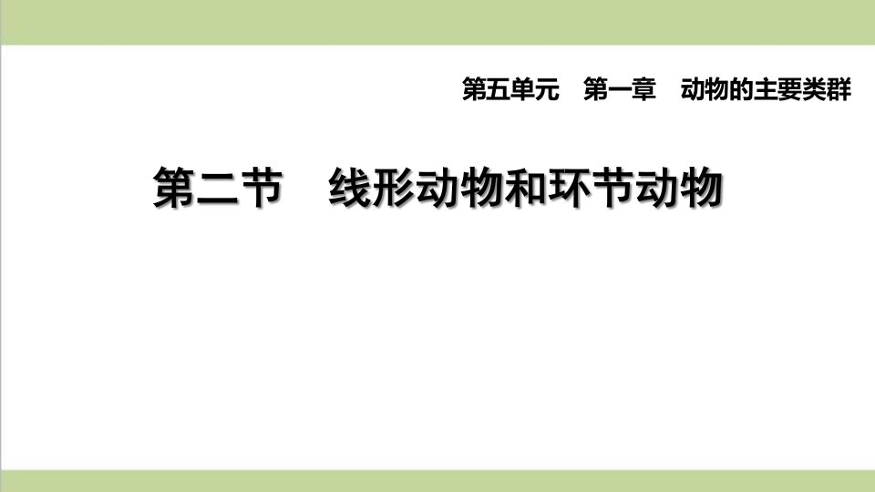 人教版八年级上册生物-1.2-线形动物和环节动物-课后习题重点练习ppt课件