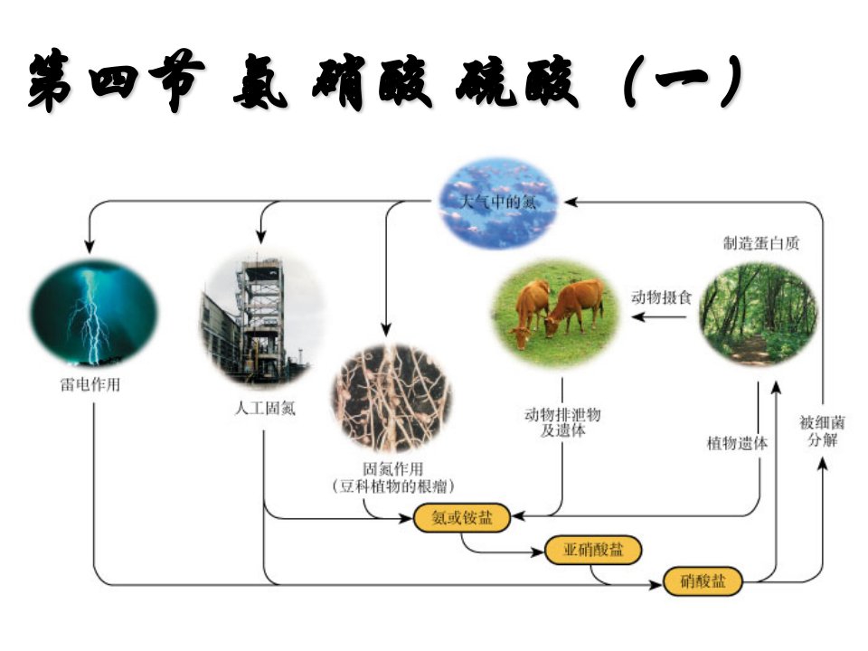 人教版必修1高中化学氨气公开课课件27341