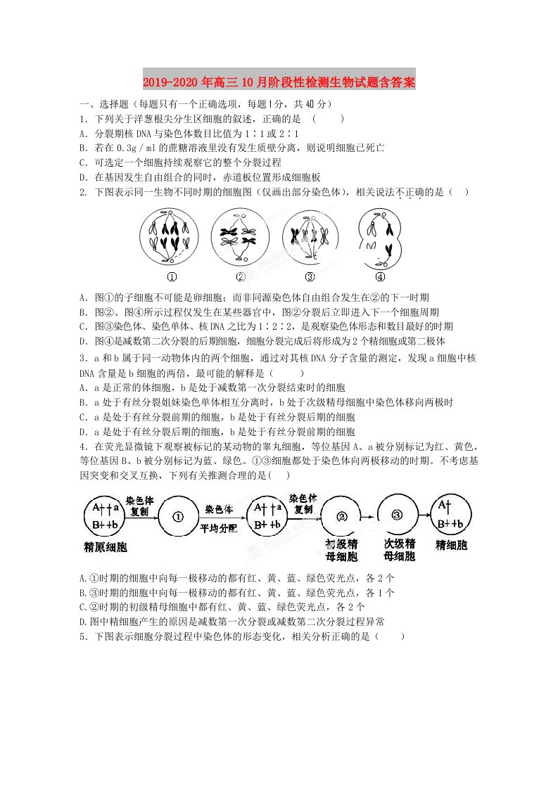 2019-2020年高三10月阶段性检测生物试题含答案