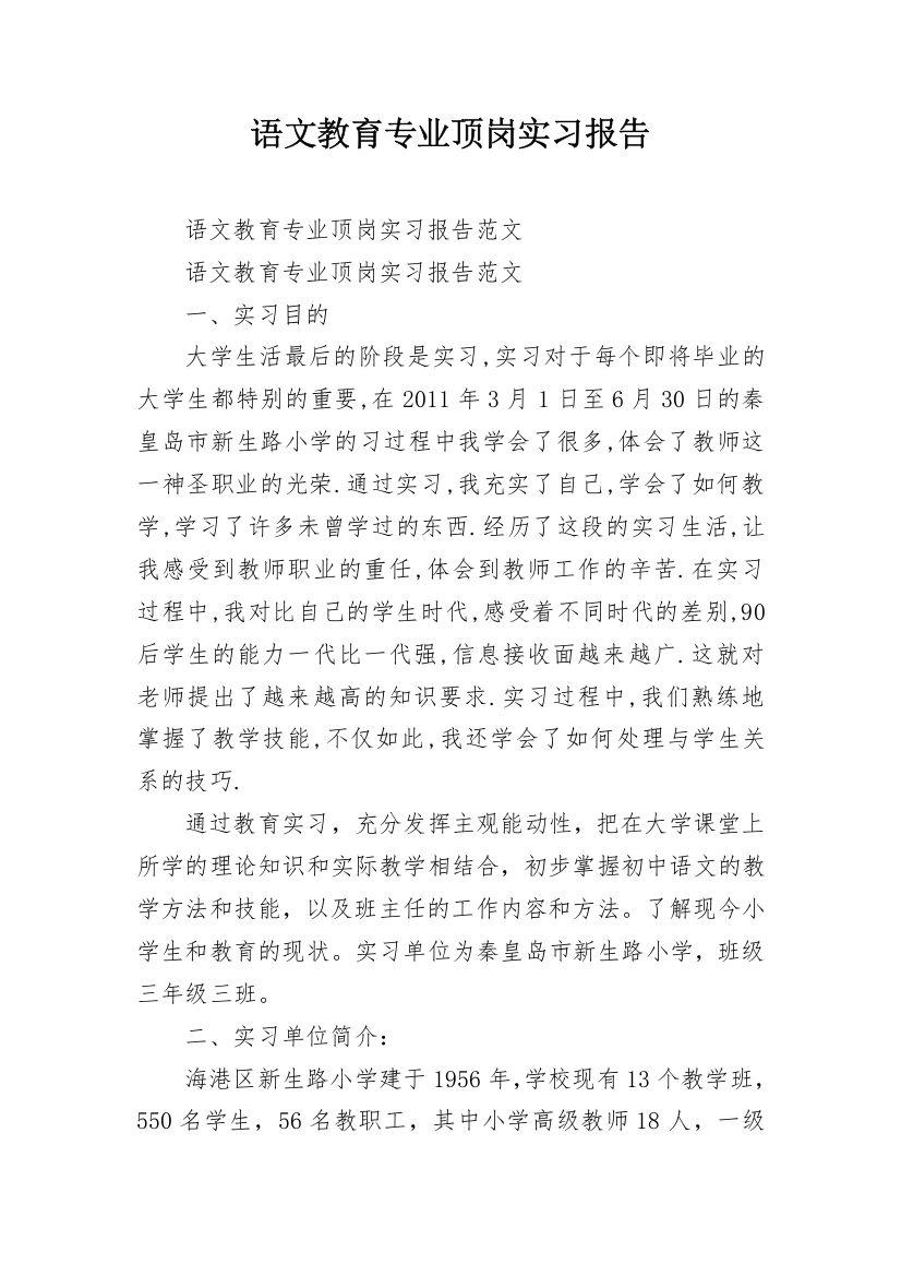 语文教育专业顶岗实习报告_2