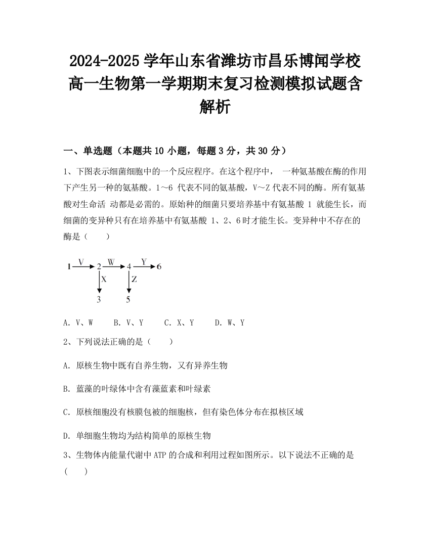 2024-2025学年山东省潍坊市昌乐博闻学校高一生物第一学期期末复习检测模拟试题含解析