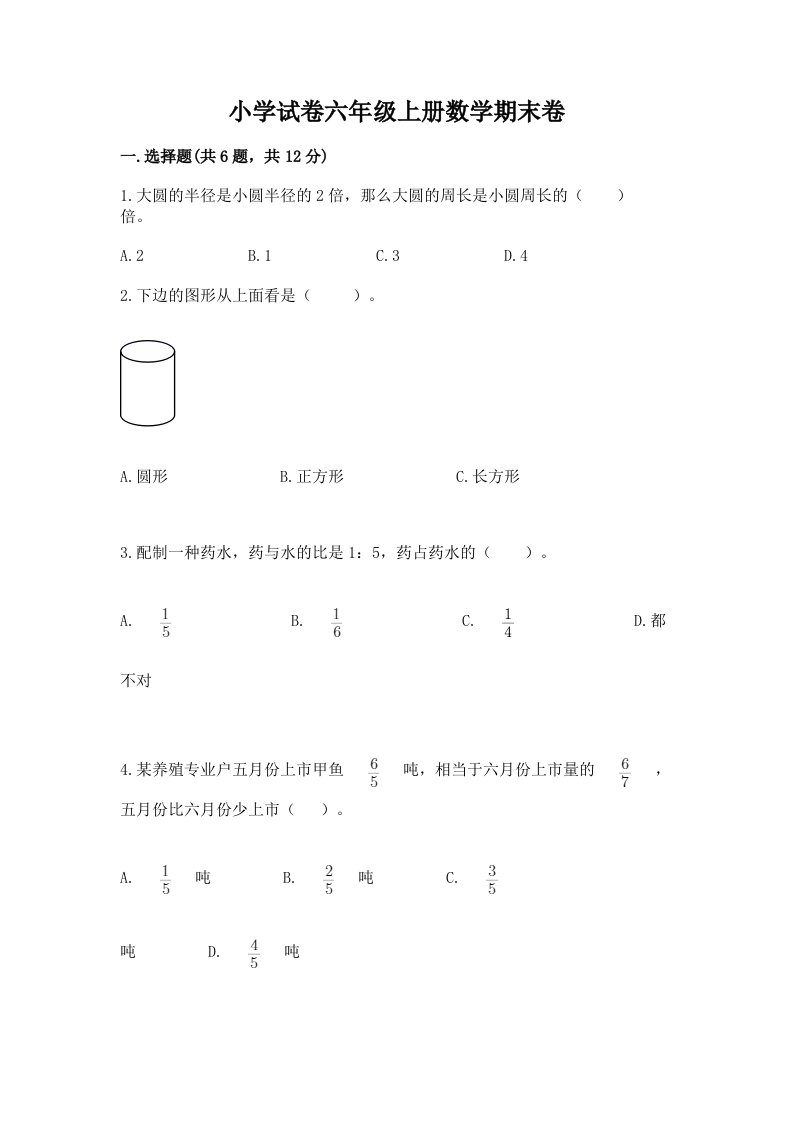 小学试卷六年级上册数学期末卷（典优）