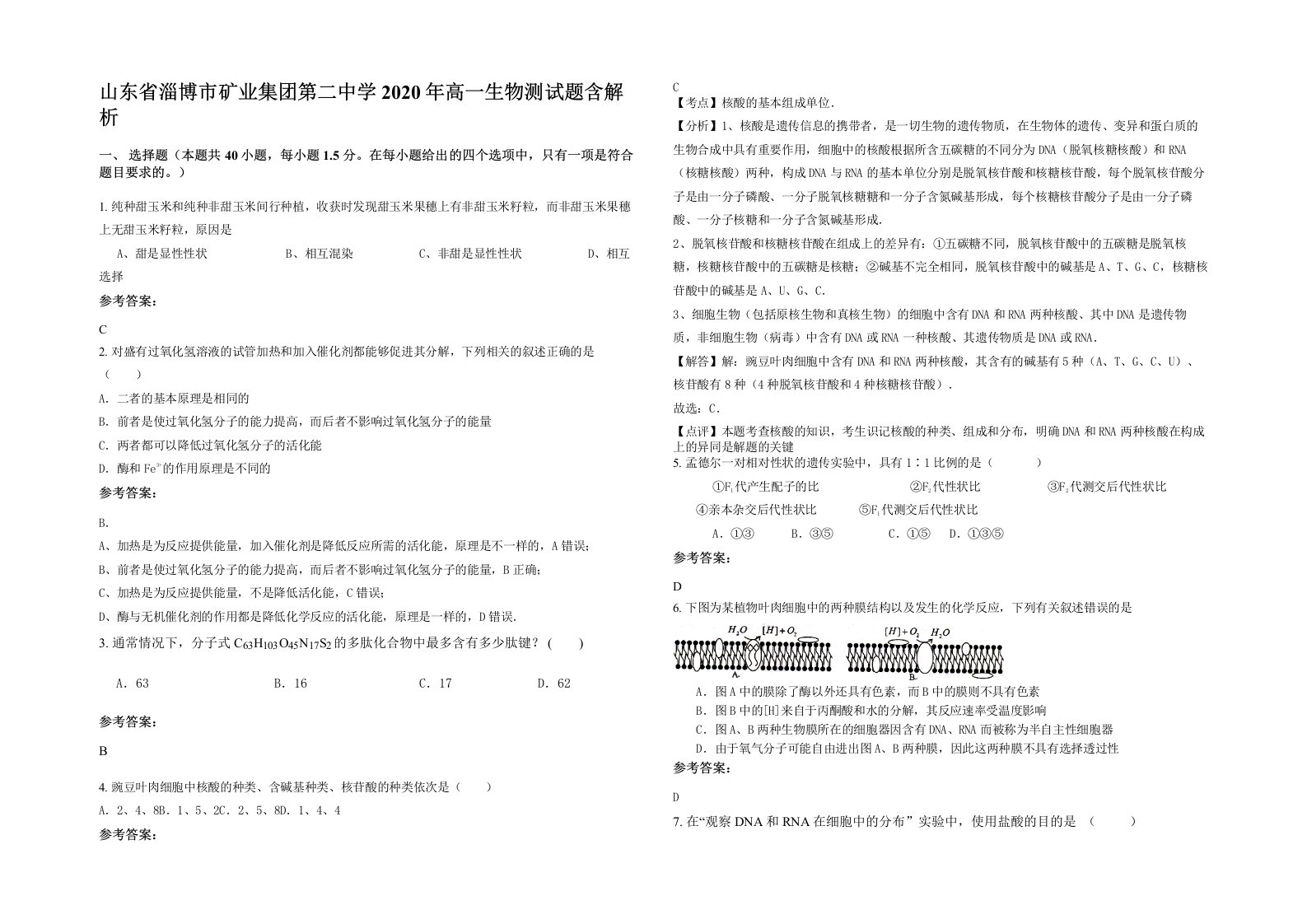 山东省淄博市矿业集团第二中学2020年高一生物测试题含解析