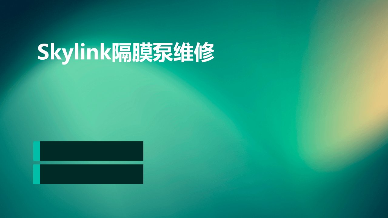 SKYLINK隔膜泵维修