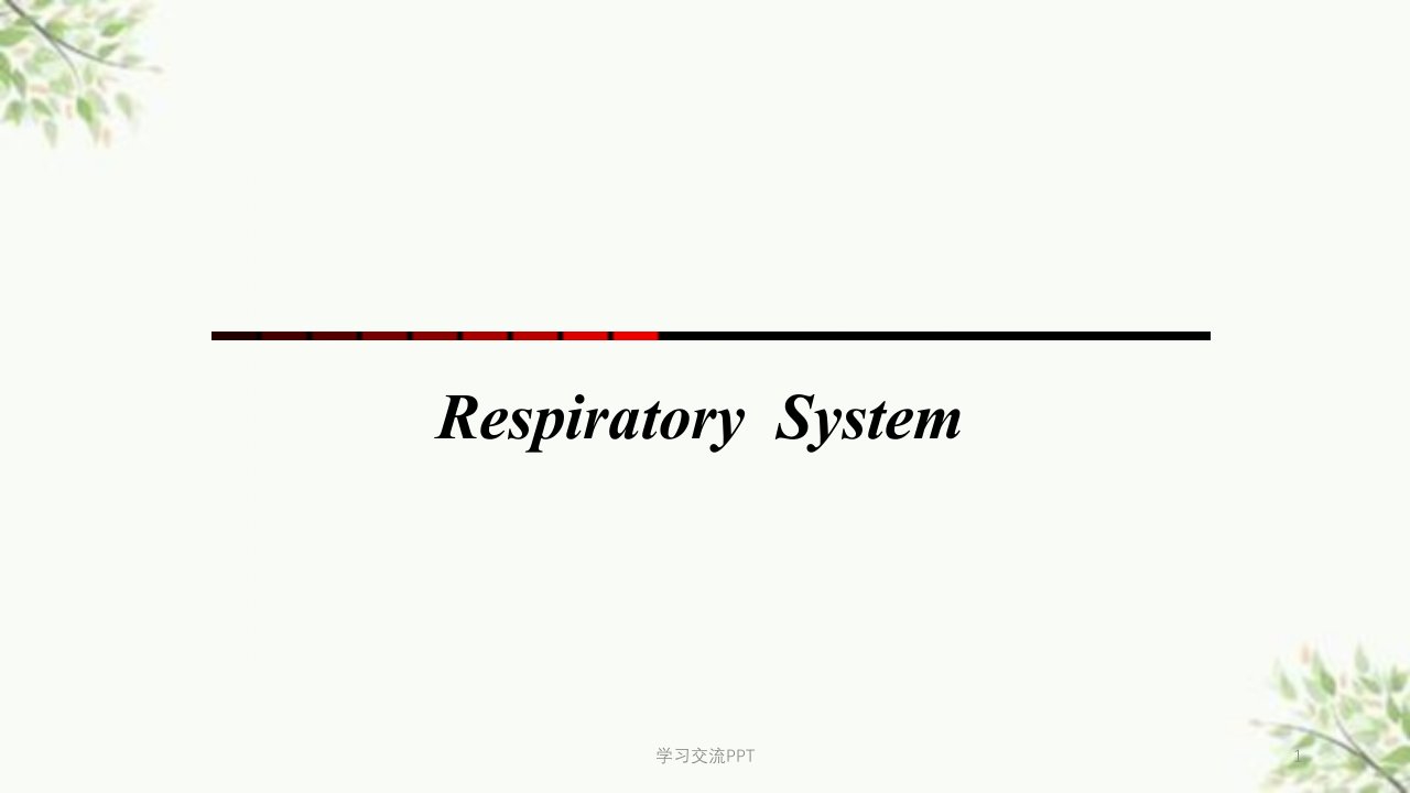 呼吸系统最新医学课件