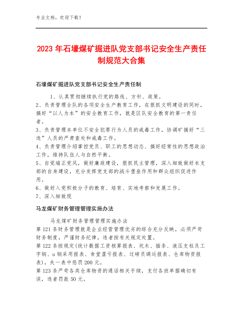 2023年石壕煤矿掘进队党支部书记安全生产责任制规范大合集