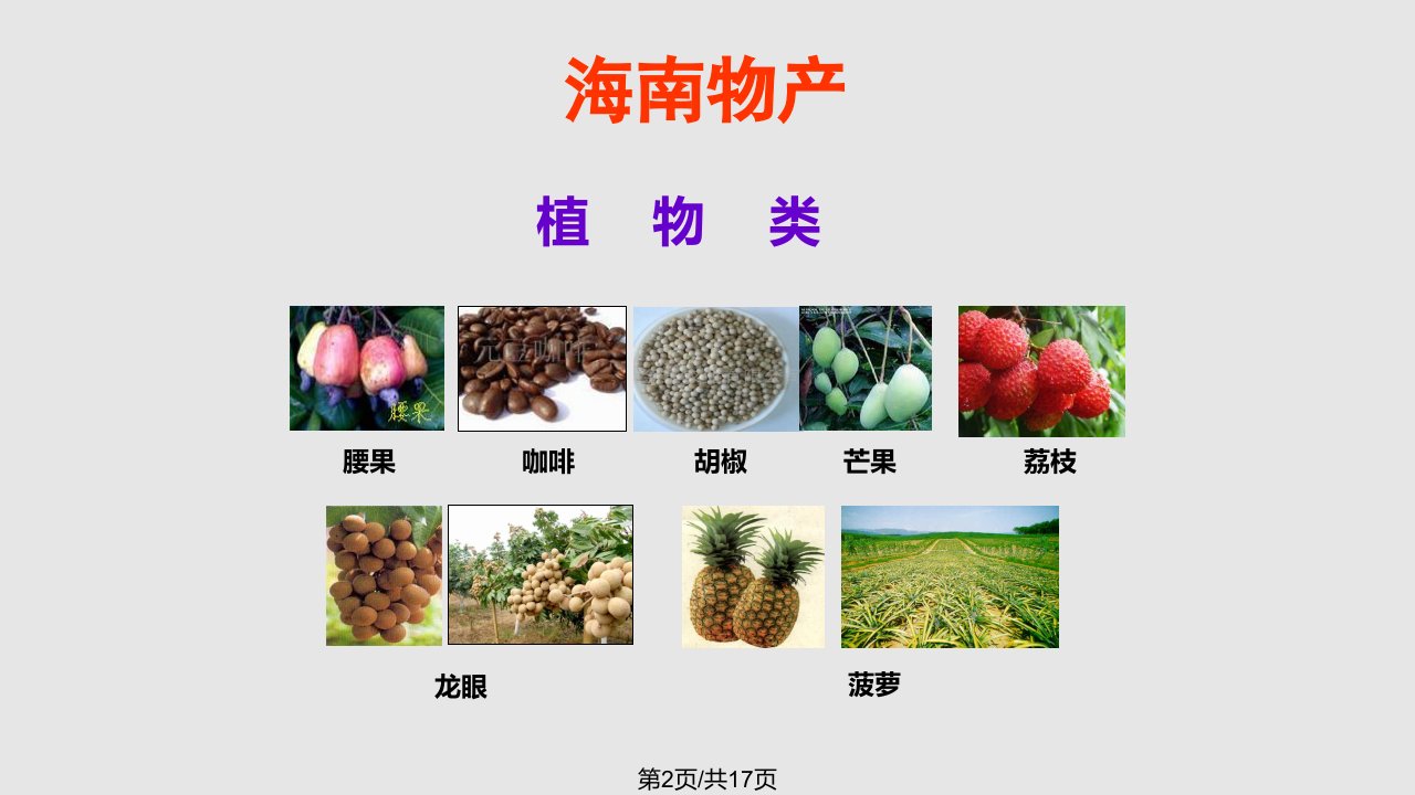 小学四年级语文南海上的明珠