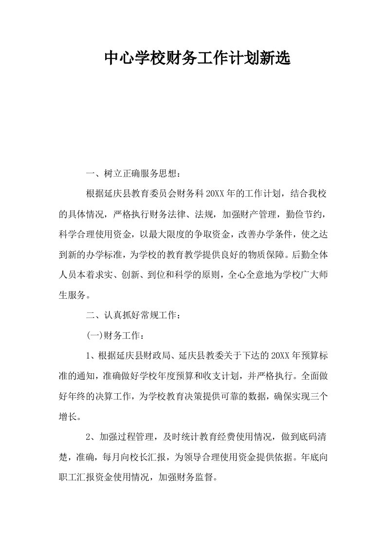 中心学校财务工作计划新选