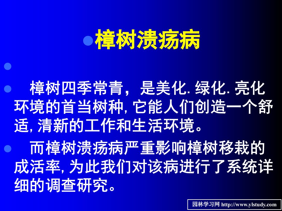 5樟树溃疡病幻灯片