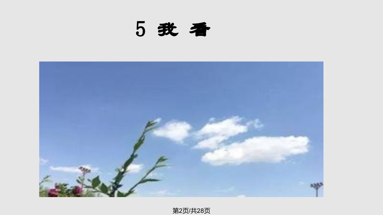 我看学习教程