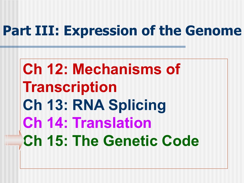 分子生物学杨洋第八章遗传密码geneticcode