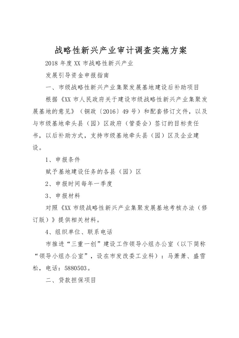 2022年战略性新兴产业审计调查实施方案