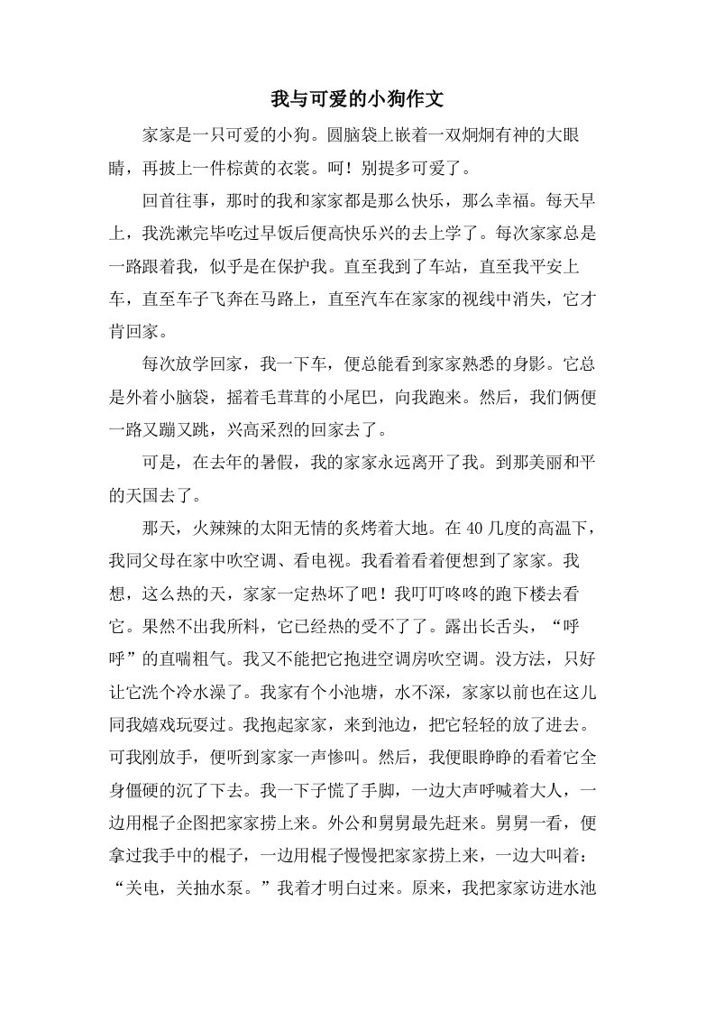 我与可爱的小狗作文