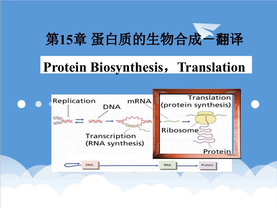 生物科技-第15章