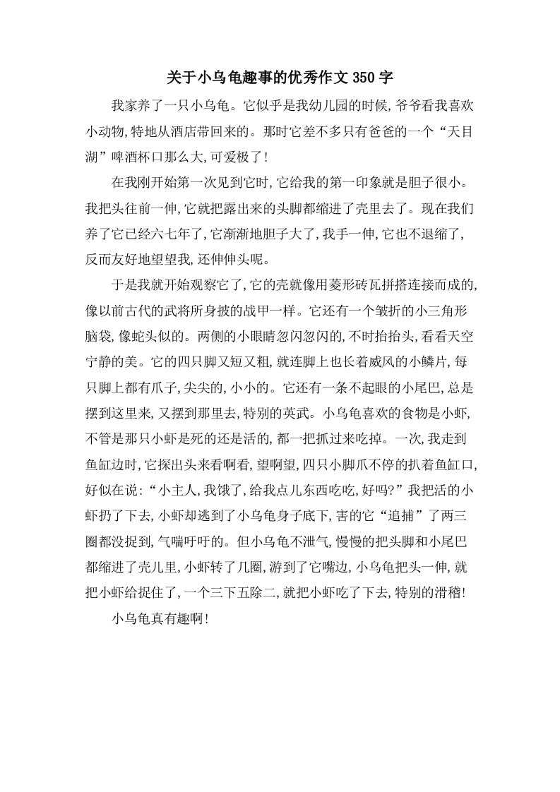 关于小乌龟趣事的作文350字