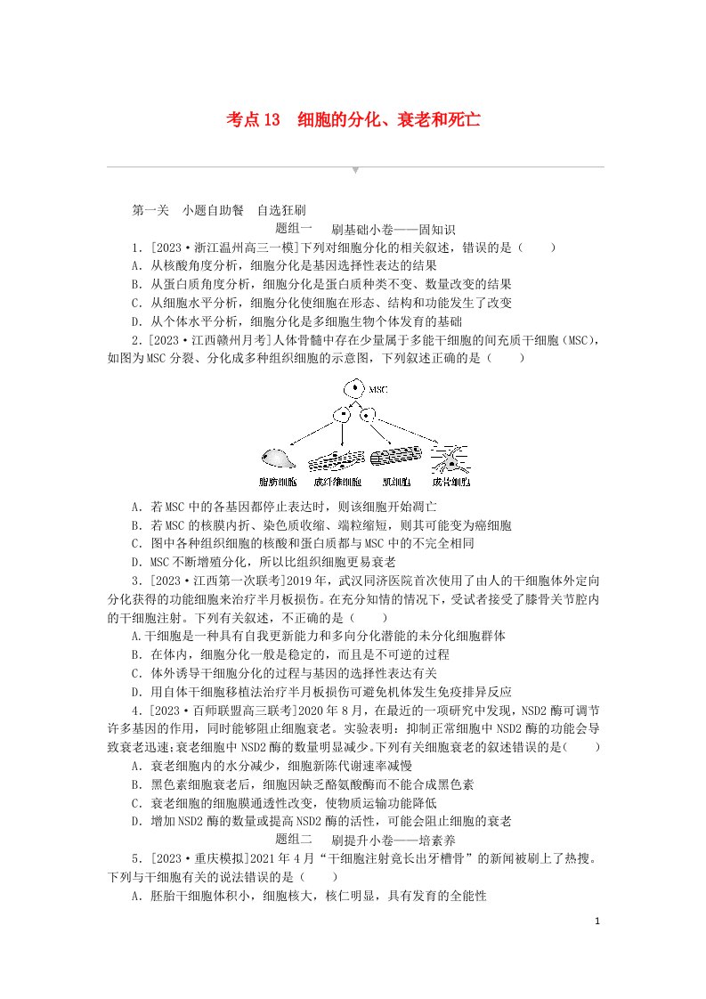 2024版新教材高考生物复习特训卷考点13细胞的分化衰老和死亡