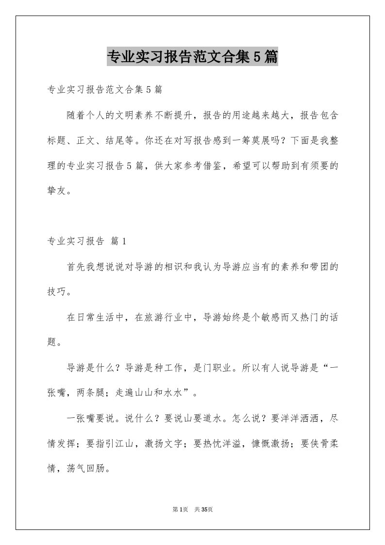 专业实习报告范文合集5篇例文