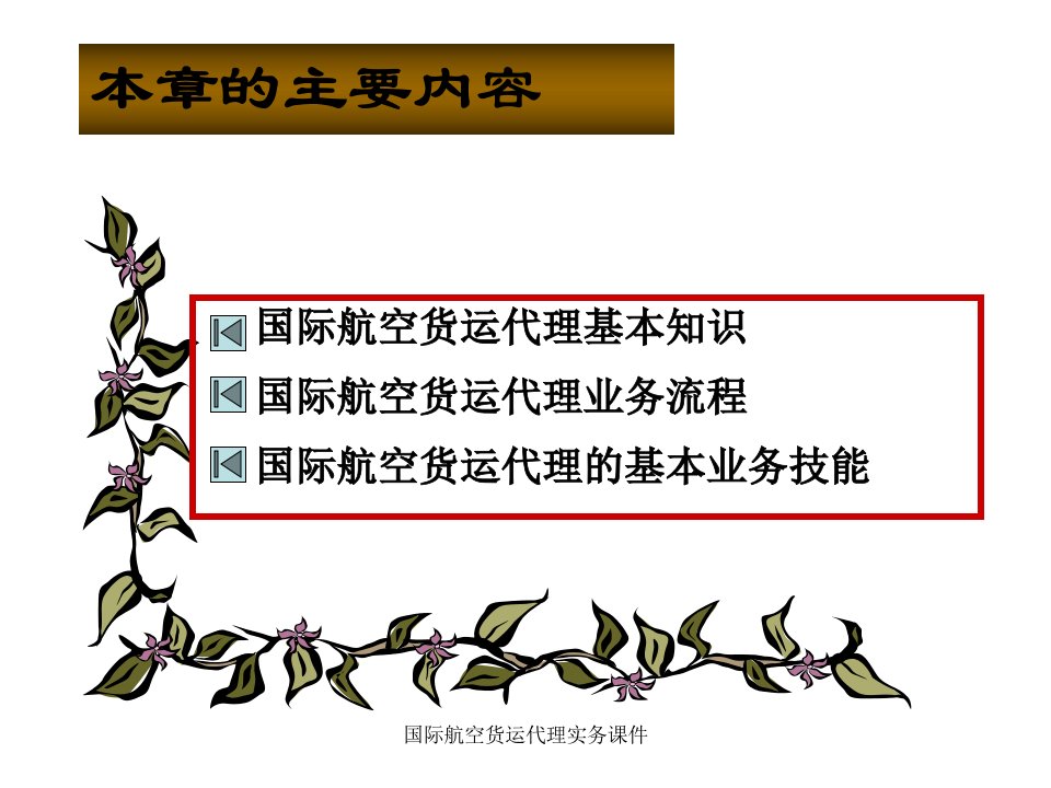 国际航空货运代理实务课件