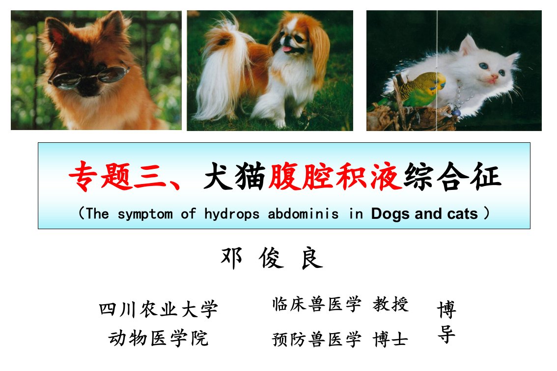 专题三犬猫腹腔积液综合征