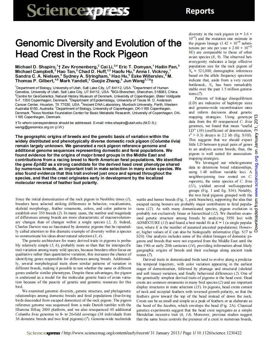 鸽子基因组-genomic-diversity-and-evolution-of-the-head-crest-in-the-rock-pigeon