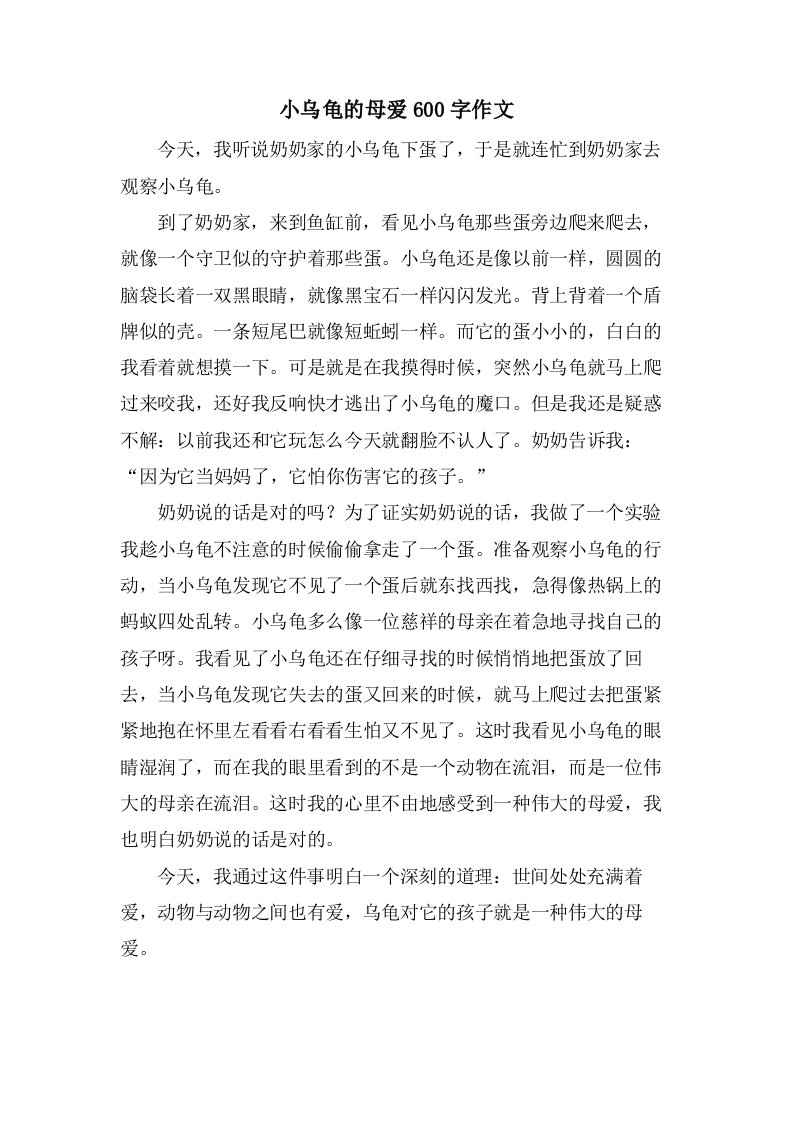 小乌龟的母爱600字作文