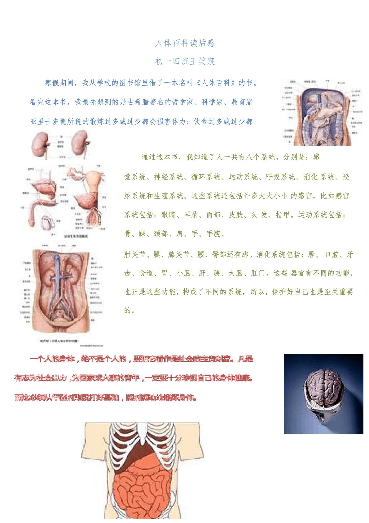 人体百科读后感