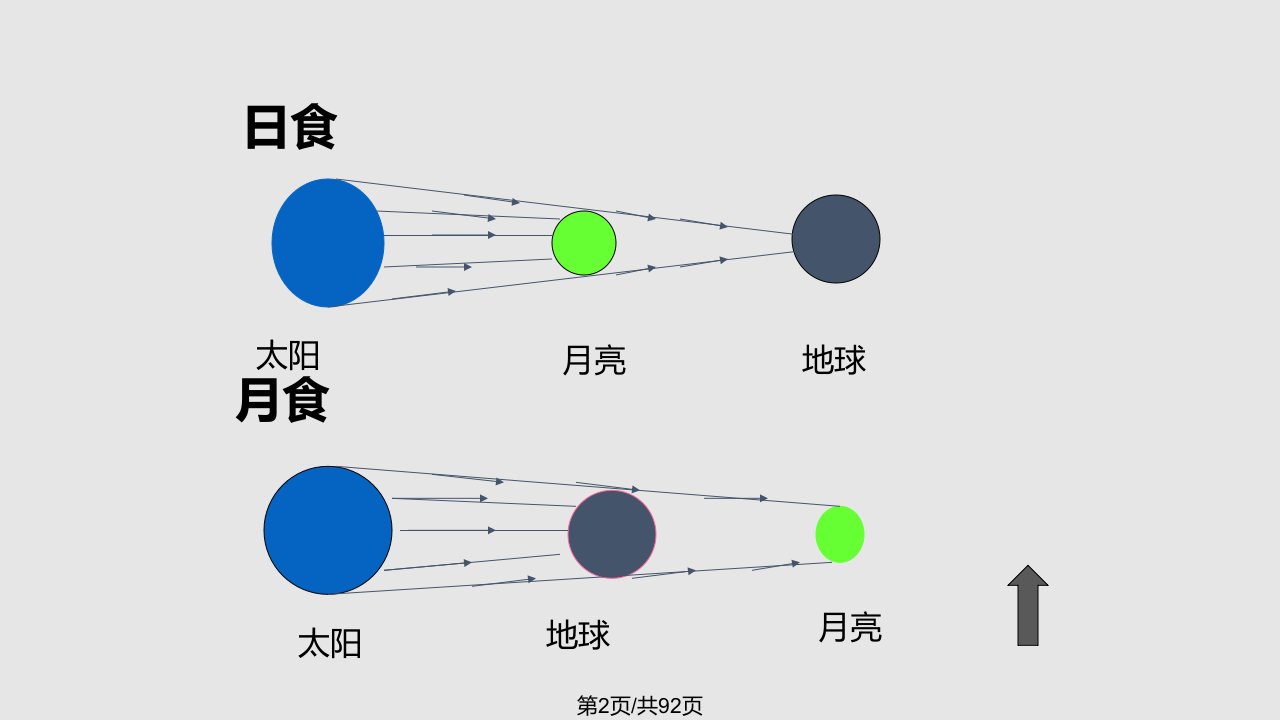 期末复习光现象人教八年级上