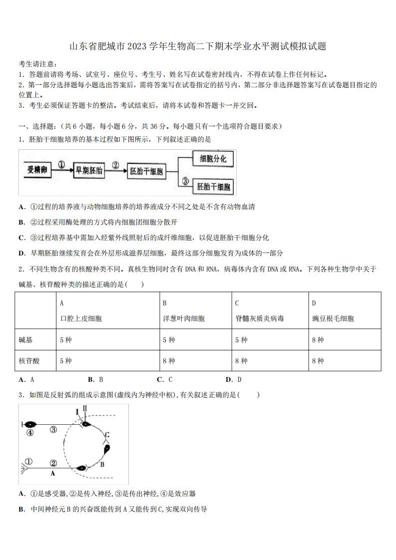 山东省肥城市2023学年生物高二下期末学业水平测试模拟试题(含解析)