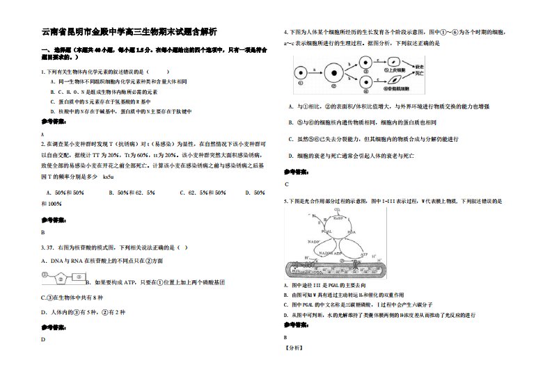 云南省昆明市金殿中学高三生物期末试题含解析