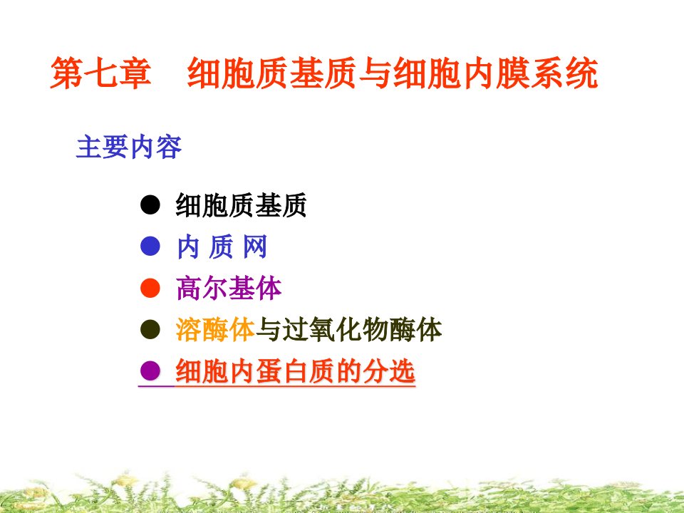 细胞生物学细胞质基质与细胞内膜系统