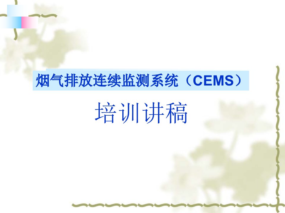 CEMS培训