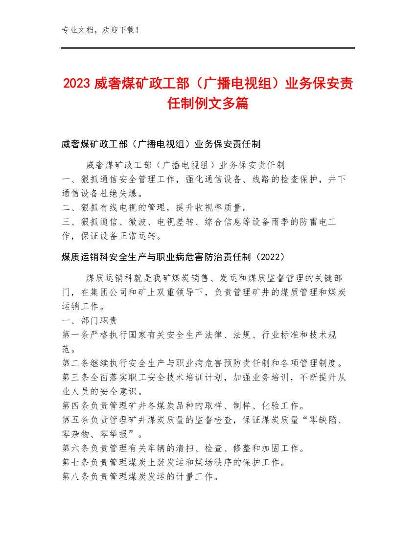 2023威奢煤矿政工部（广播电视组）业务保安责任制例文多篇